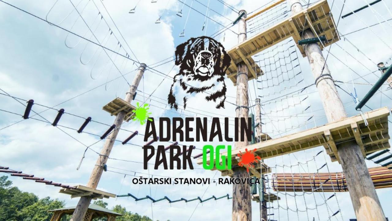 Apartmán M&S&N Grabovac  Pokoj fotografie